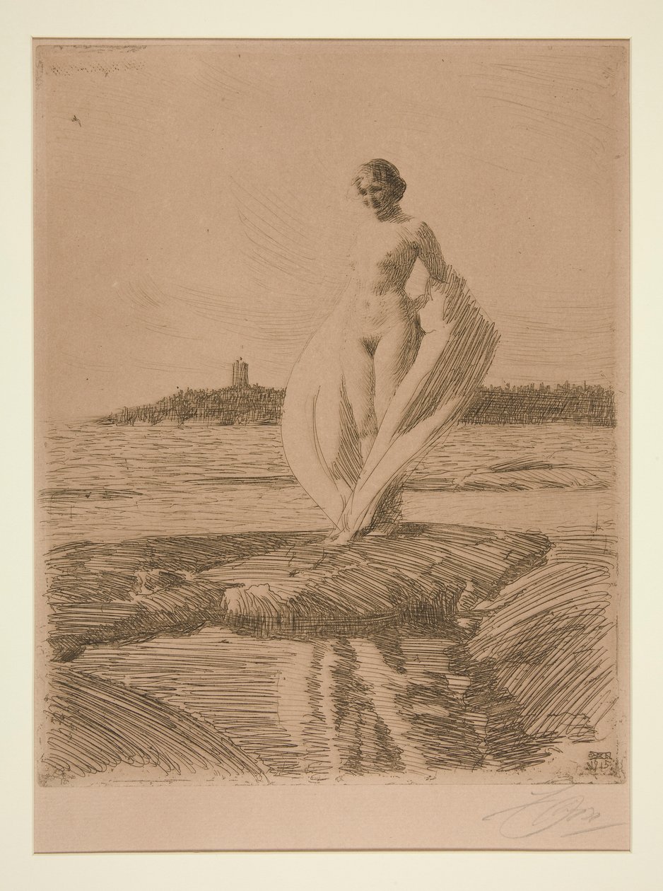 Le Cygne - Anders Leonard Zorn