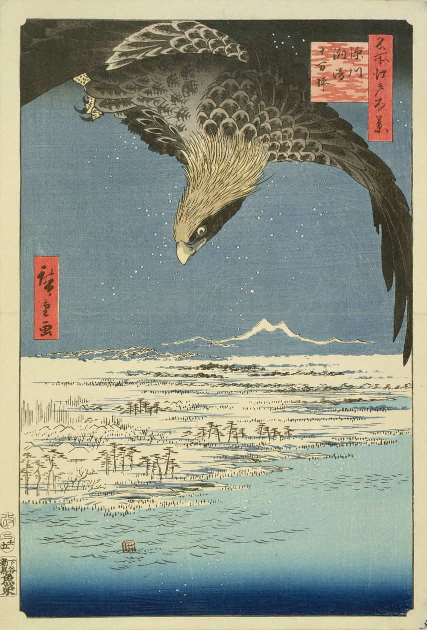 Aigle sur une plaine de 100 000 acres à Susaki, Fukagawa (