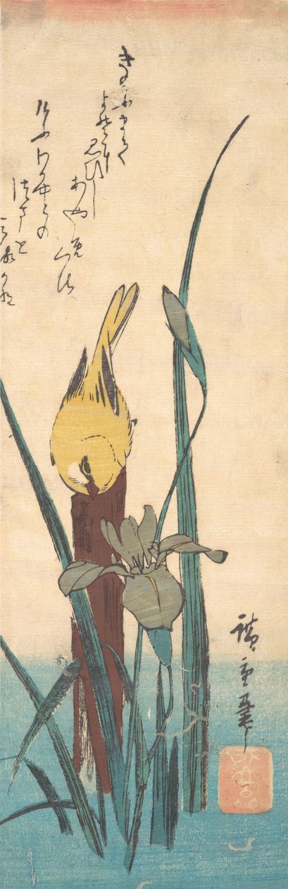 Oiseau et iris - Ando Hiroshige