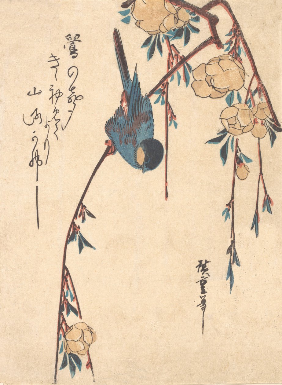 Cerisier pleureur - Ando Hiroshige