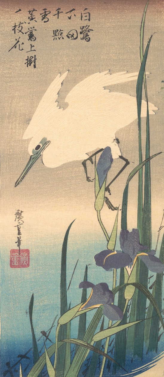Héron blanc et iris - Ando Hiroshige