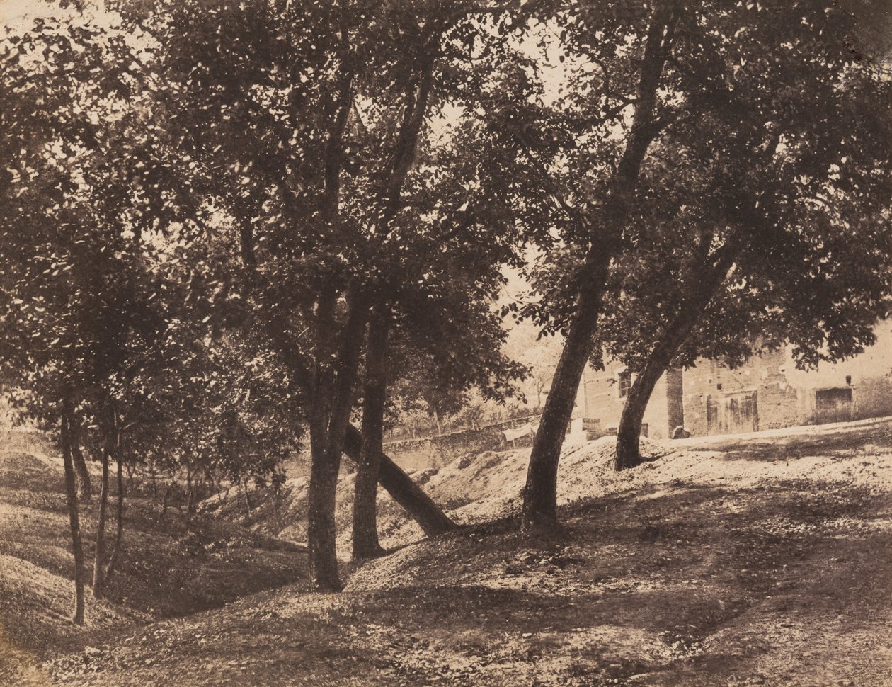 Arbres - André Giroux