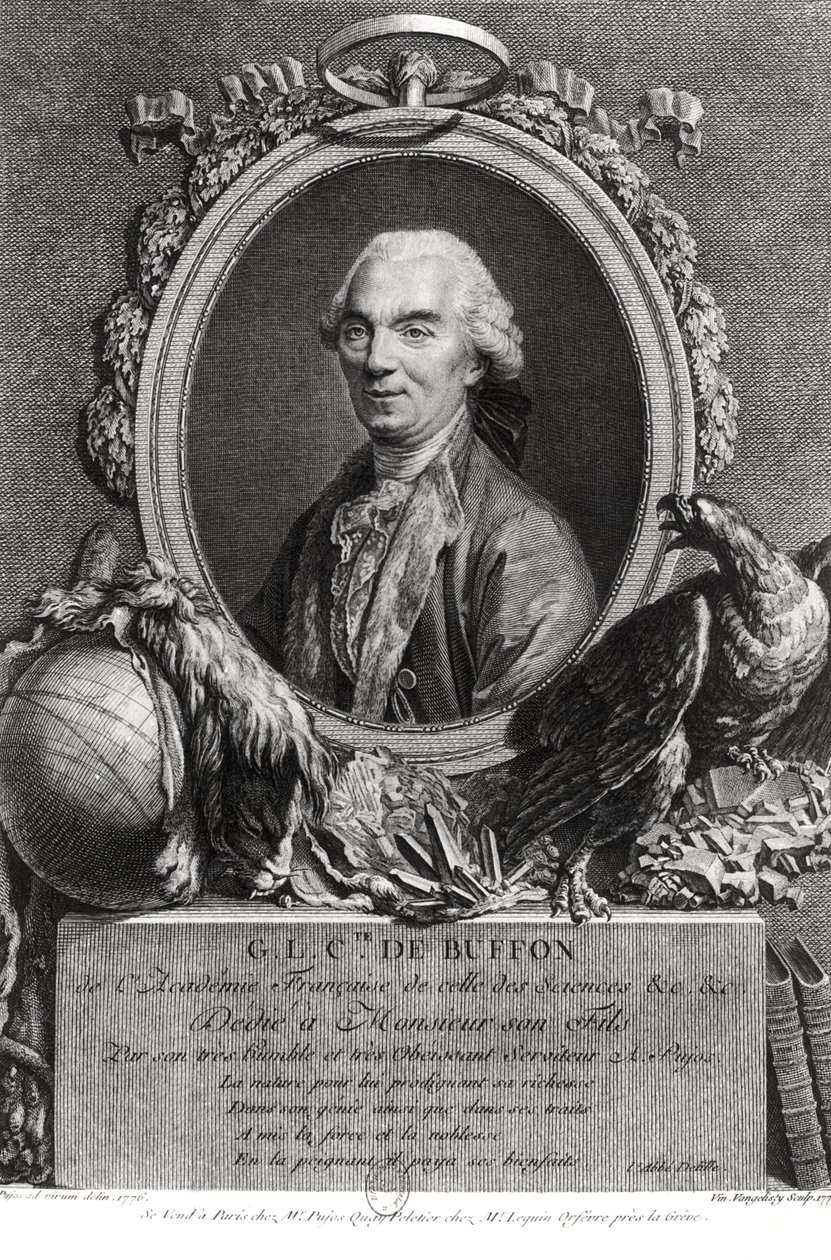 Georges-Louis Leclerc (1707-88) Comte de Buffon, gravé par Vincenzio Vangelisti (1738-98) 1777 - Andre Pujos