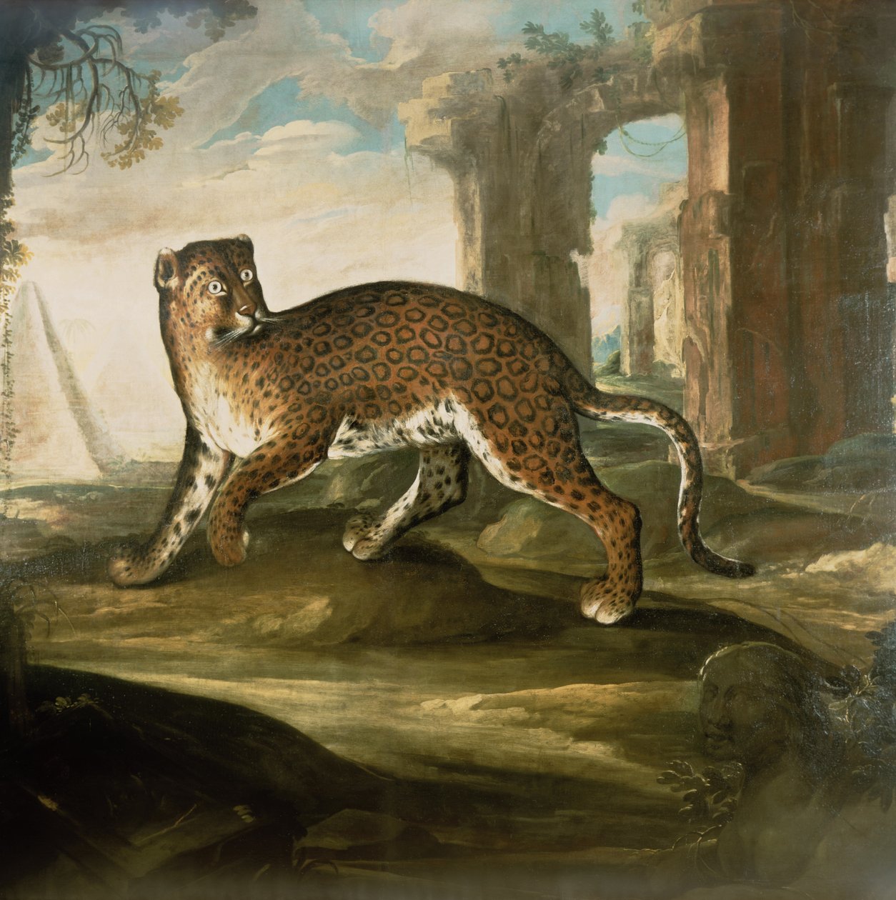 Un jaguar - Andrea the Elder Scacciati