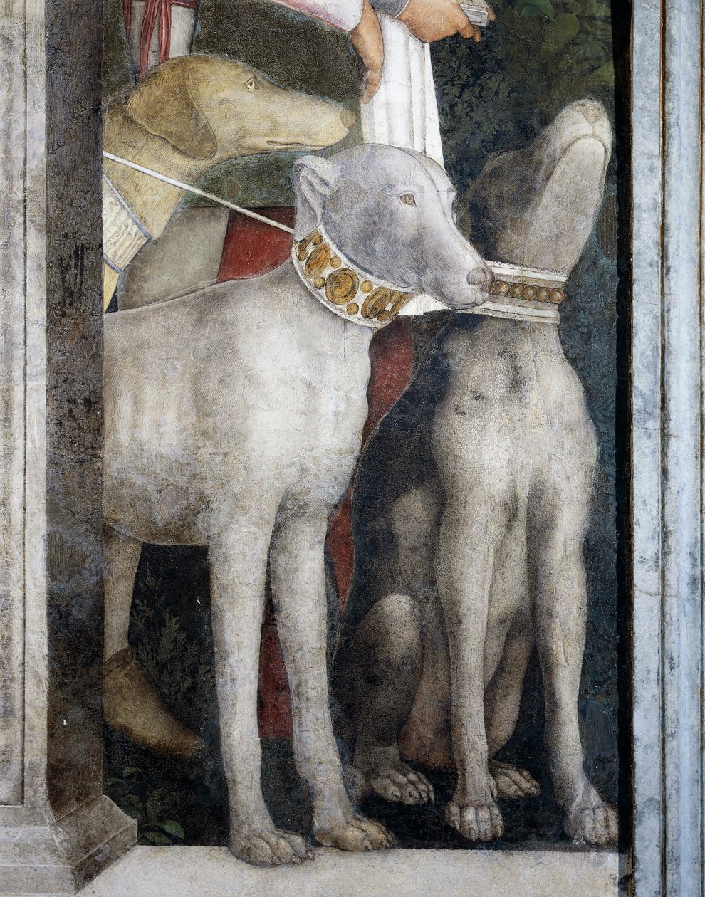 Chiens molosses (détail) - Andrea Mantegna