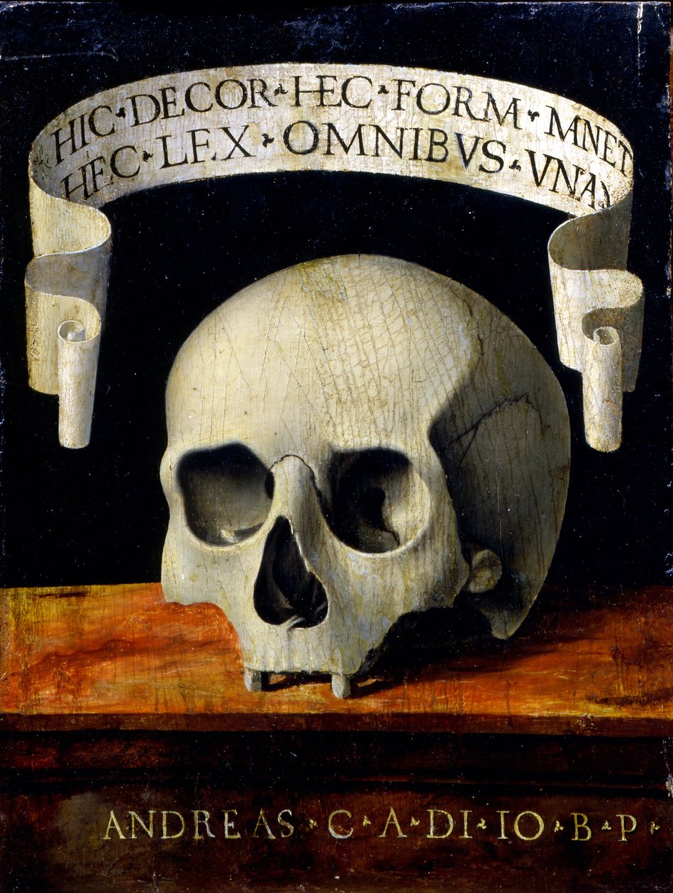 Memento Mori, début du 16ème siècle - Andrea Previtali