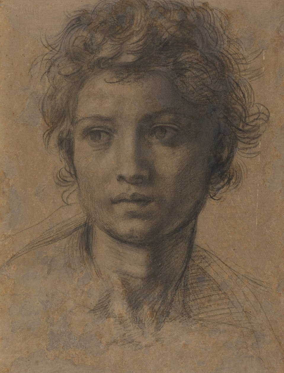 Tête de Saint Jean-Baptiste - Andrea del Sarto