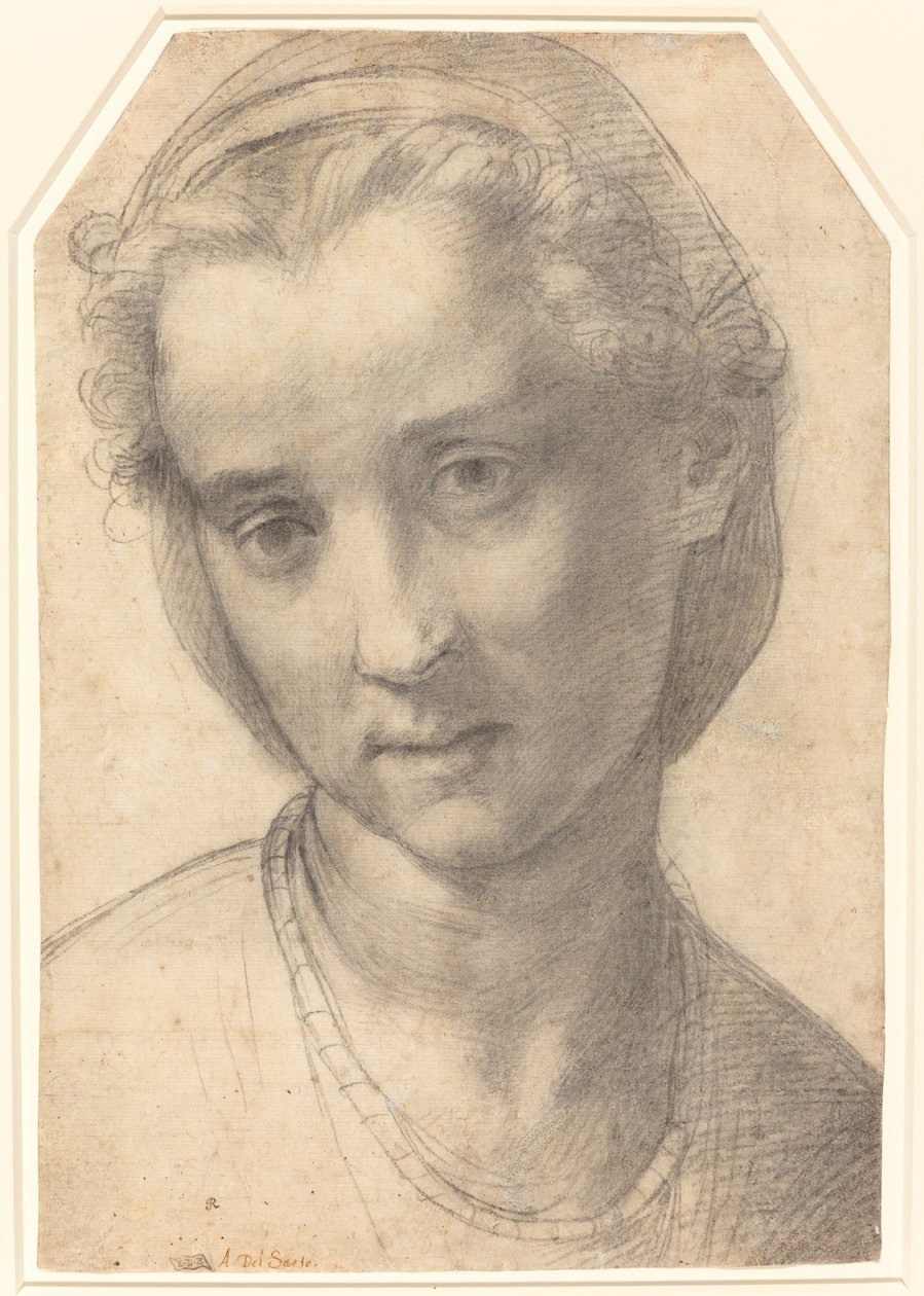 Tête de femme - Andrea del Sarto