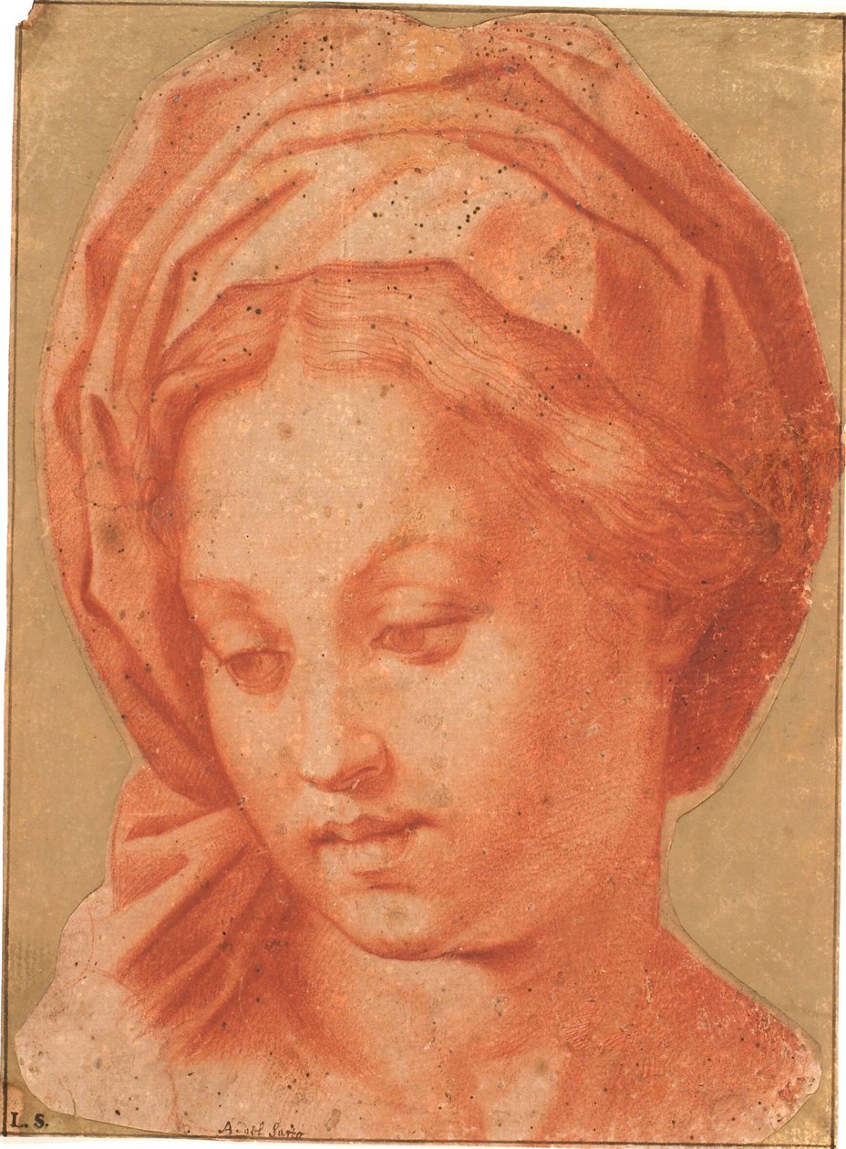 Madonna Borghese - Andrea del Sarto