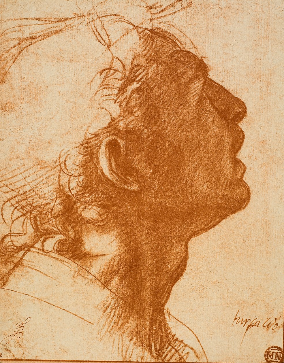 Tête masculine - Andrea del Sarto