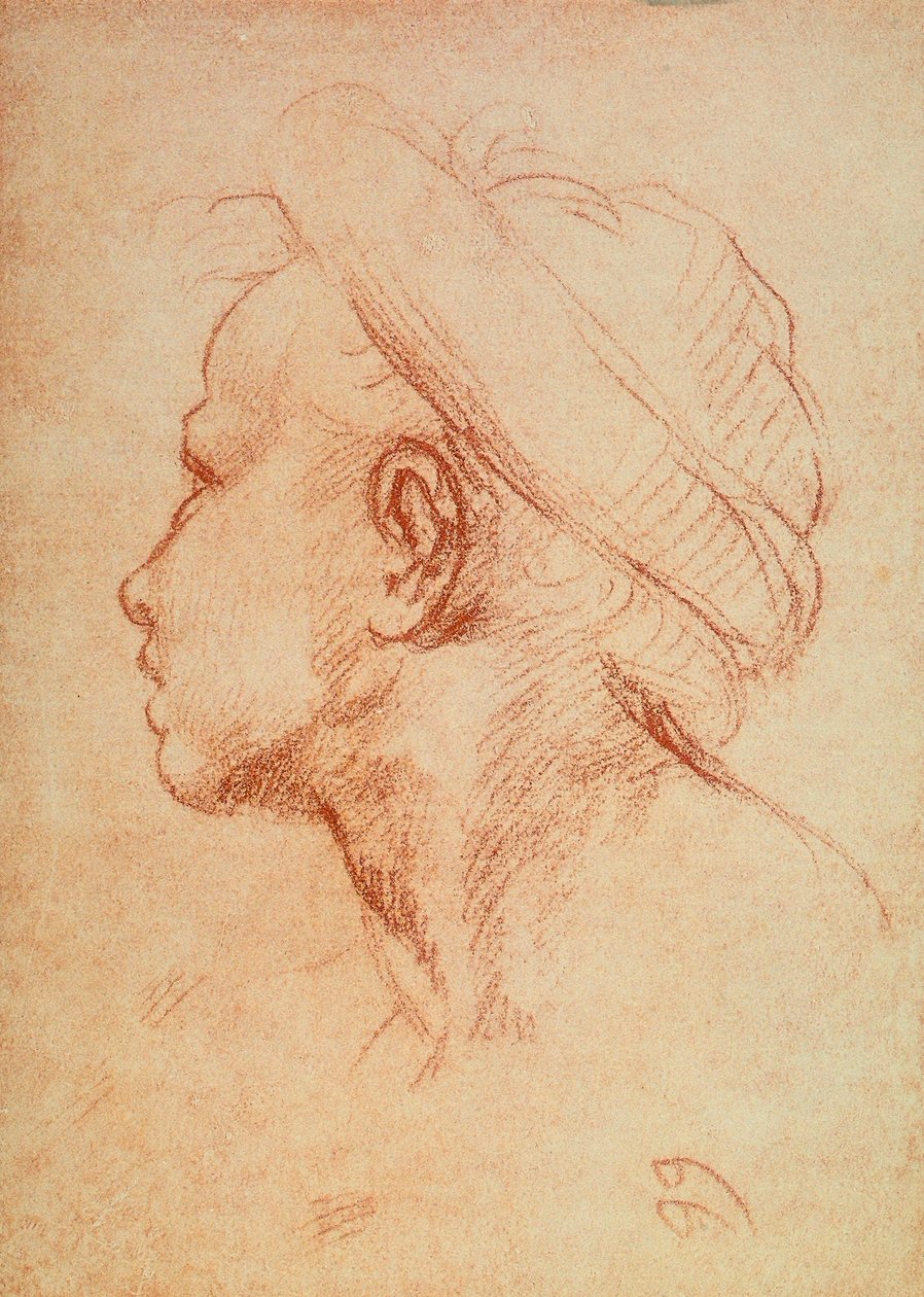 Tête de jeune en profil - Andrea del Sarto