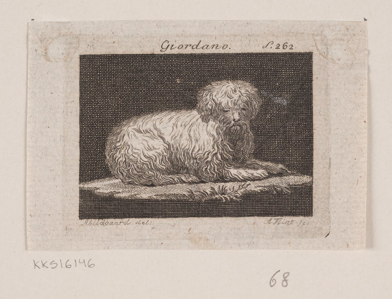 Giordano, un chien couché - Andreas Flint
