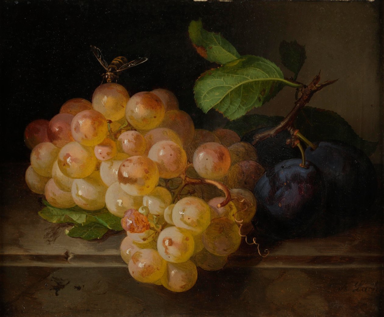 Nature morte aux fruits avec abeille - Andreas Lach