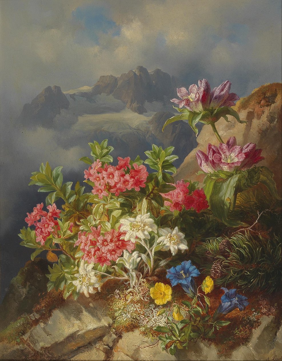Nature morte aux fleurs des Alpes - Andreas Lach