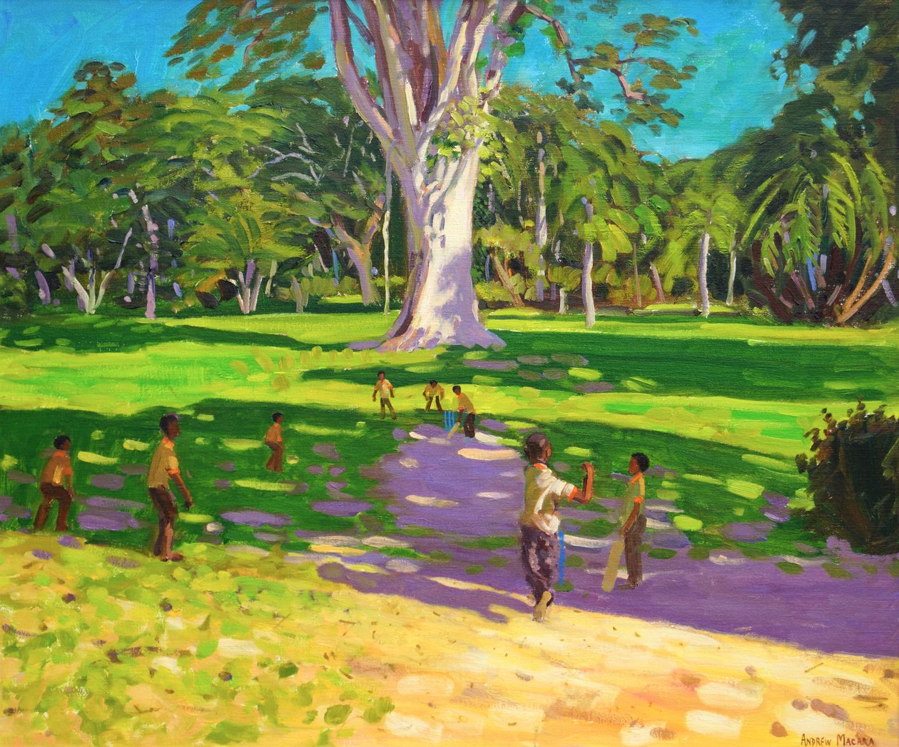 Match de cricket, Jardins botaniques, Dominique, Grenadines, 2011 - Andrew Macara