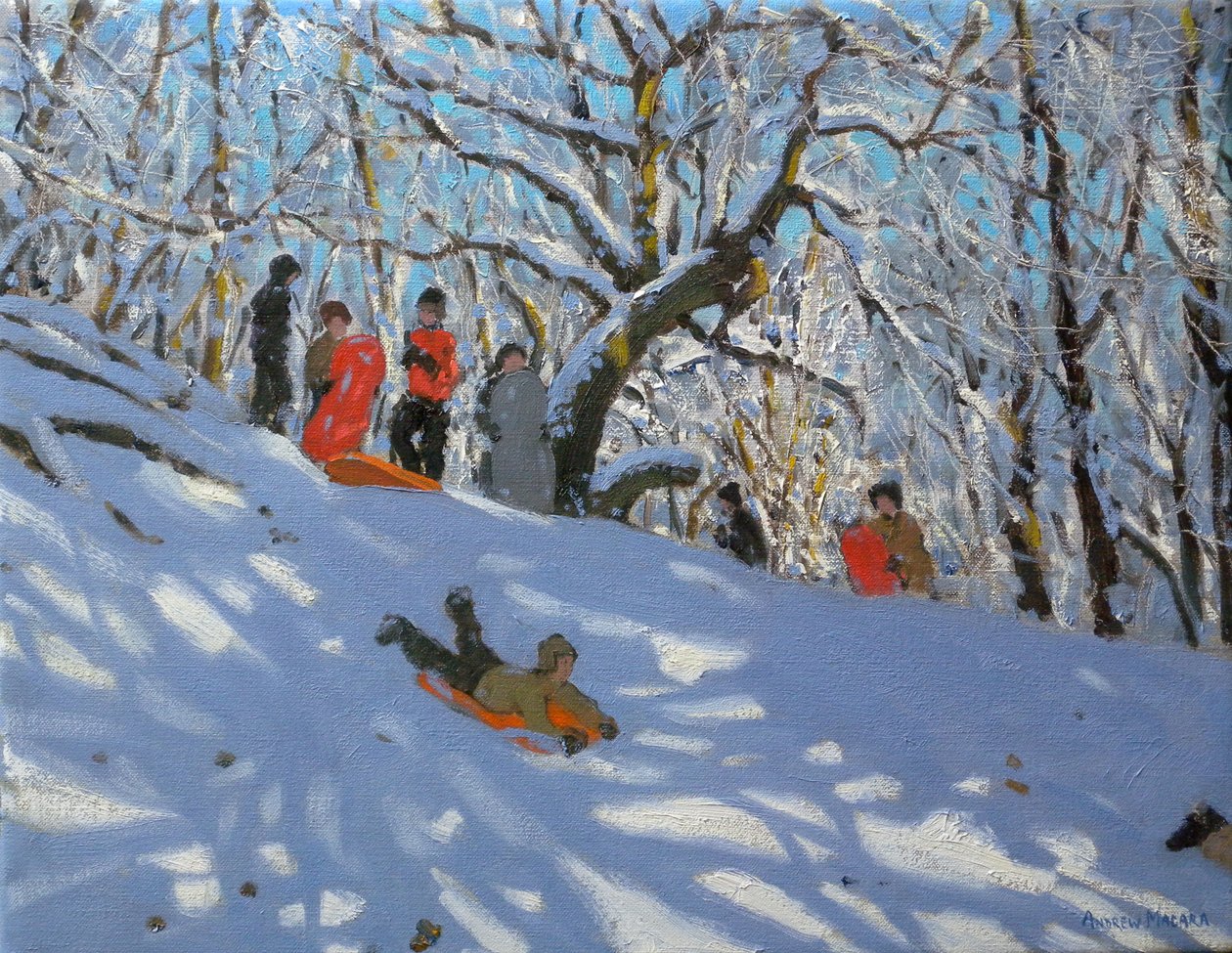 Luge dans les bois d
