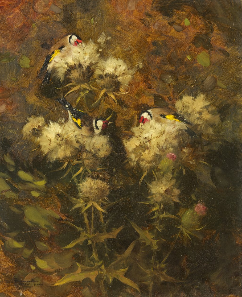 Chardonnerets se nourrissant - Andrew Allan