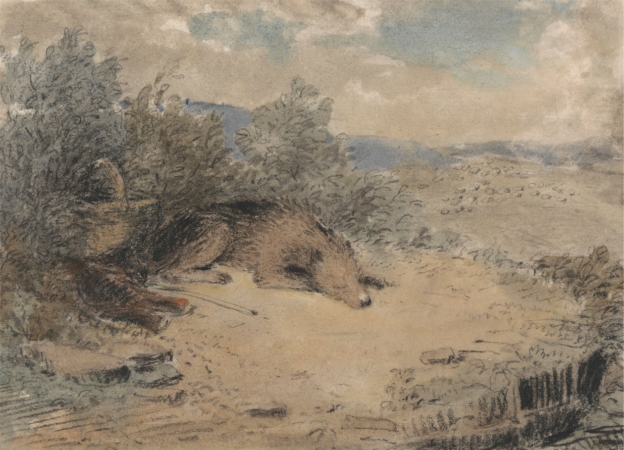 Chien de berger endormi dans un paysage - Andrew Geddes