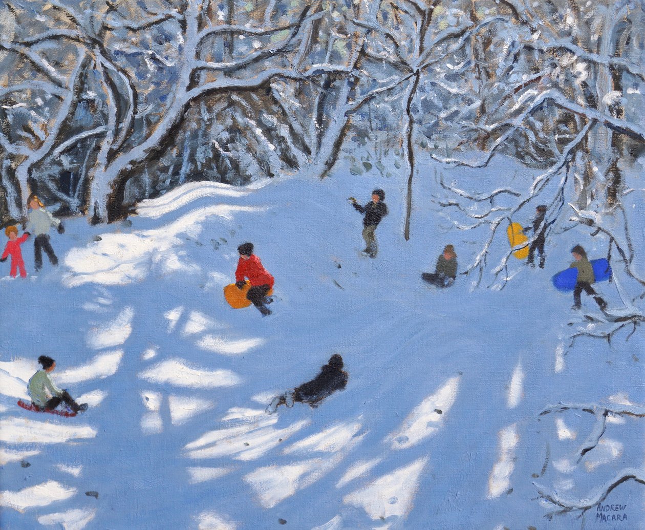 Noël, Allestree Woods, Derby - Andrew Macara
