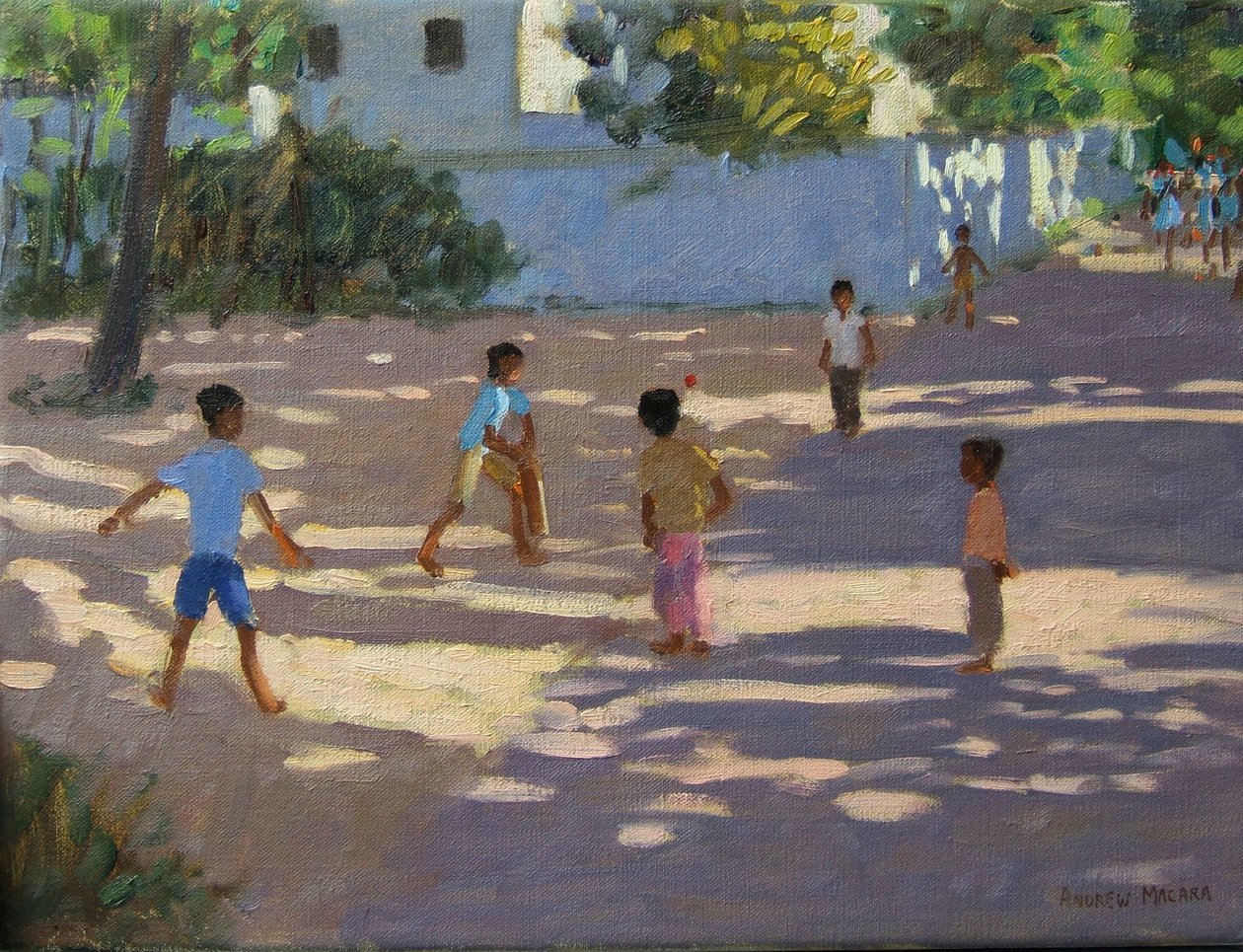 Cochin - Andrew Macara