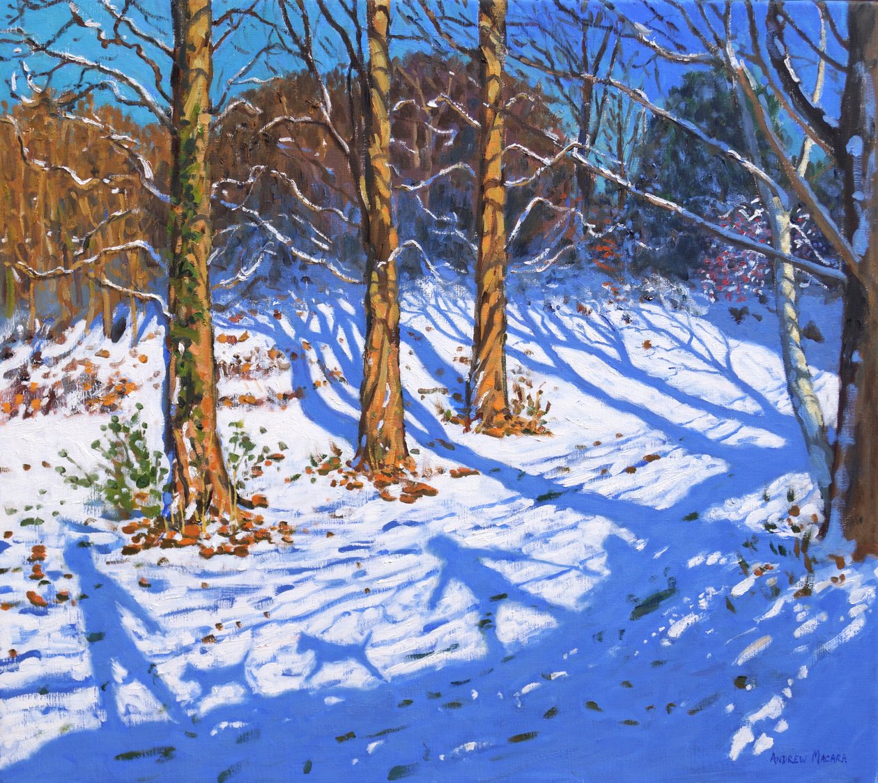 Neige de novembre, Allestree Park, Derby, 2017 - Andrew Macara