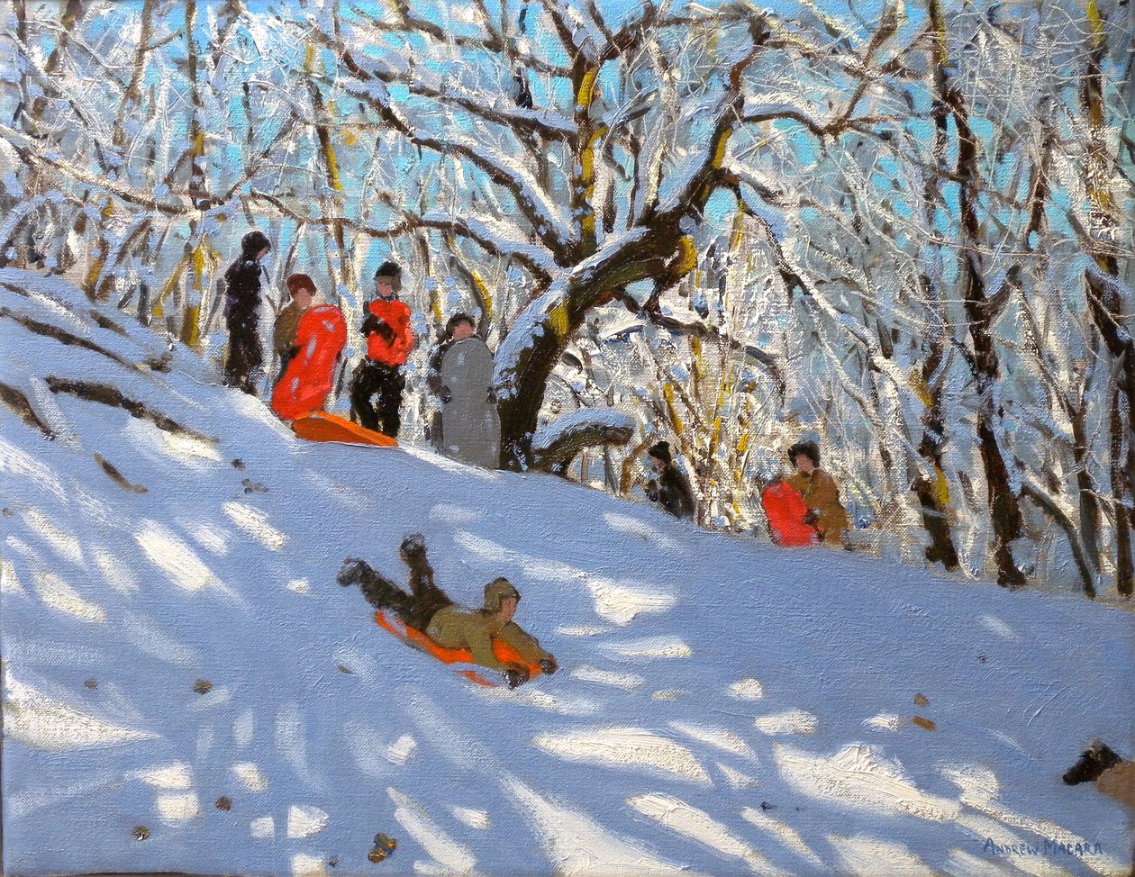 Luge, 2010 - Andrew Macara