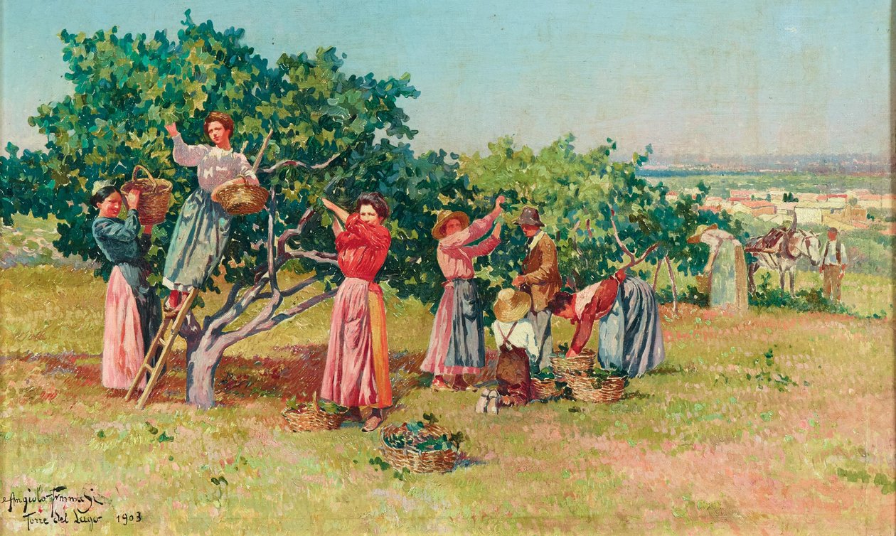 Récolte en Toscane - Angiolo Tommasi