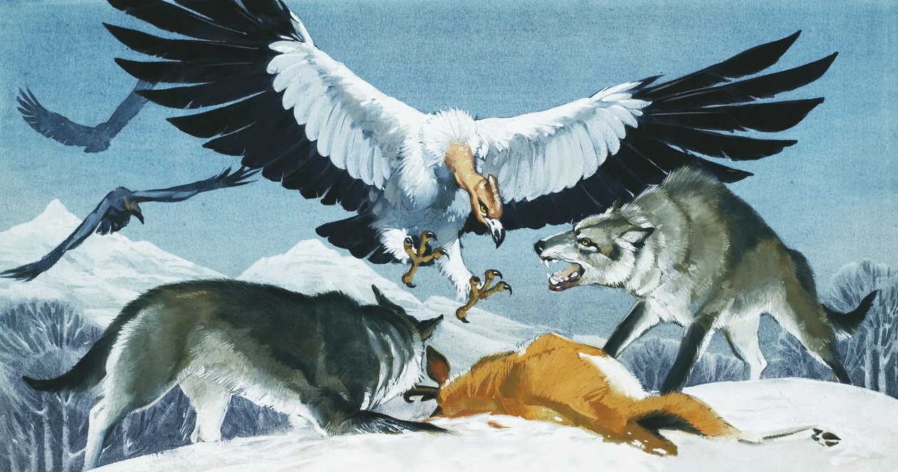 Teratornis - Angus McBride