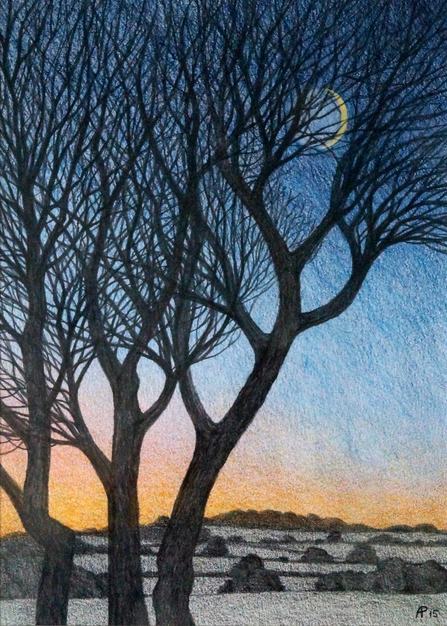Arbres et Lune - Anna Phillips