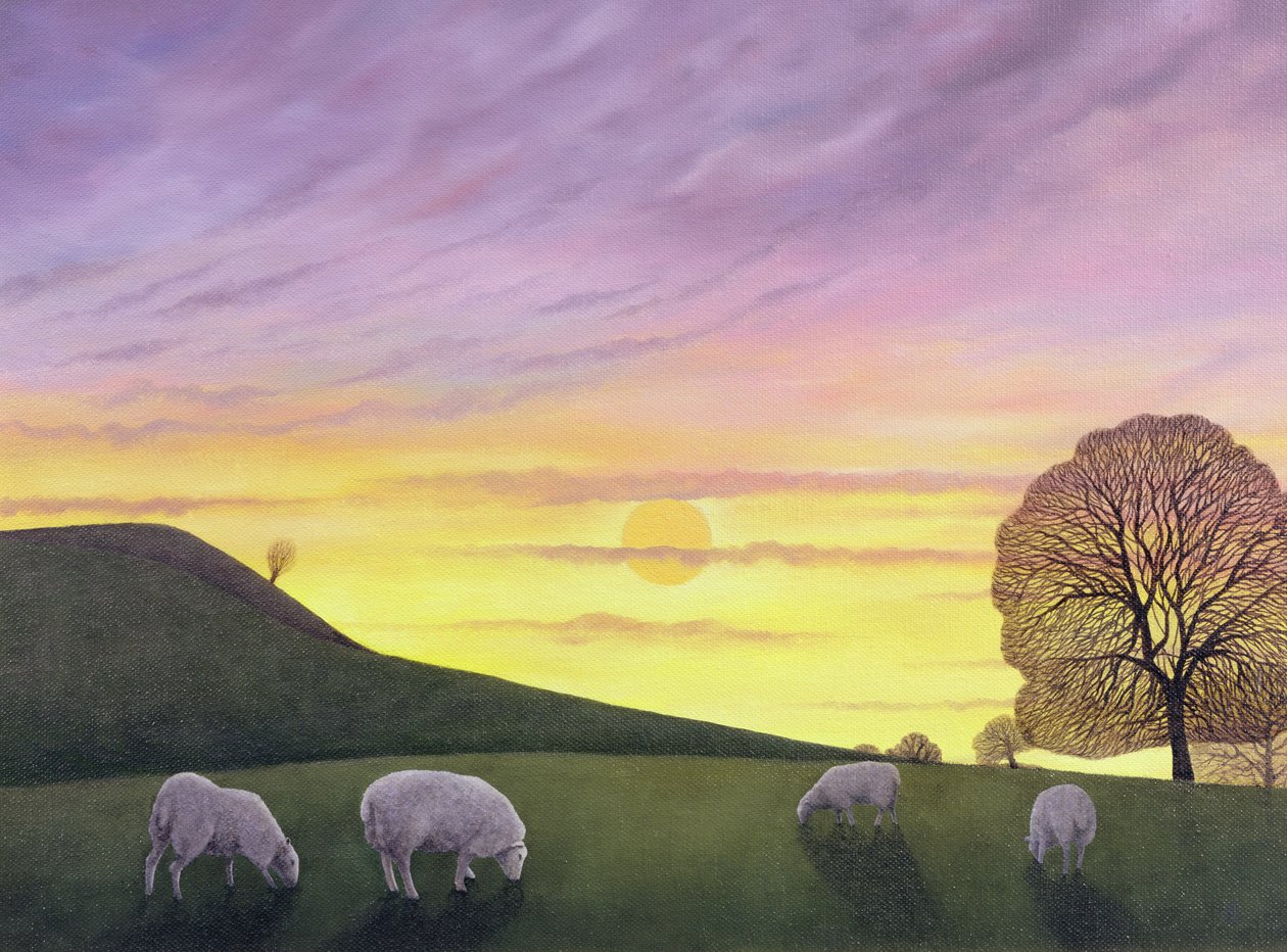 Barratts Hill - Anna Phillips