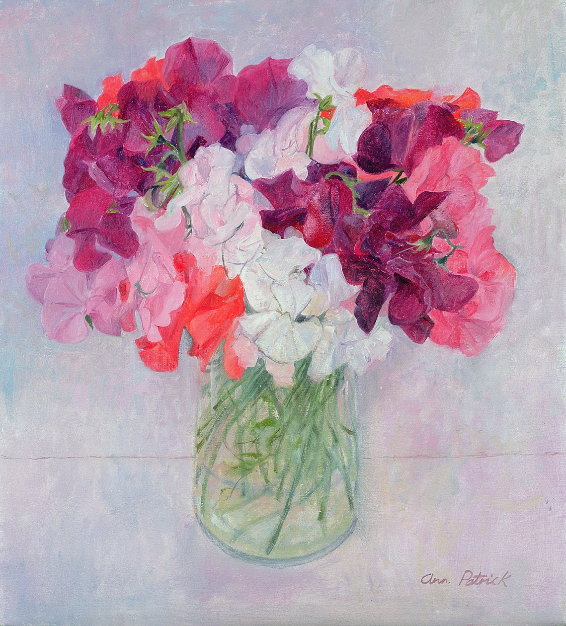 Pois de senteur, 1999 - Ann Patrick