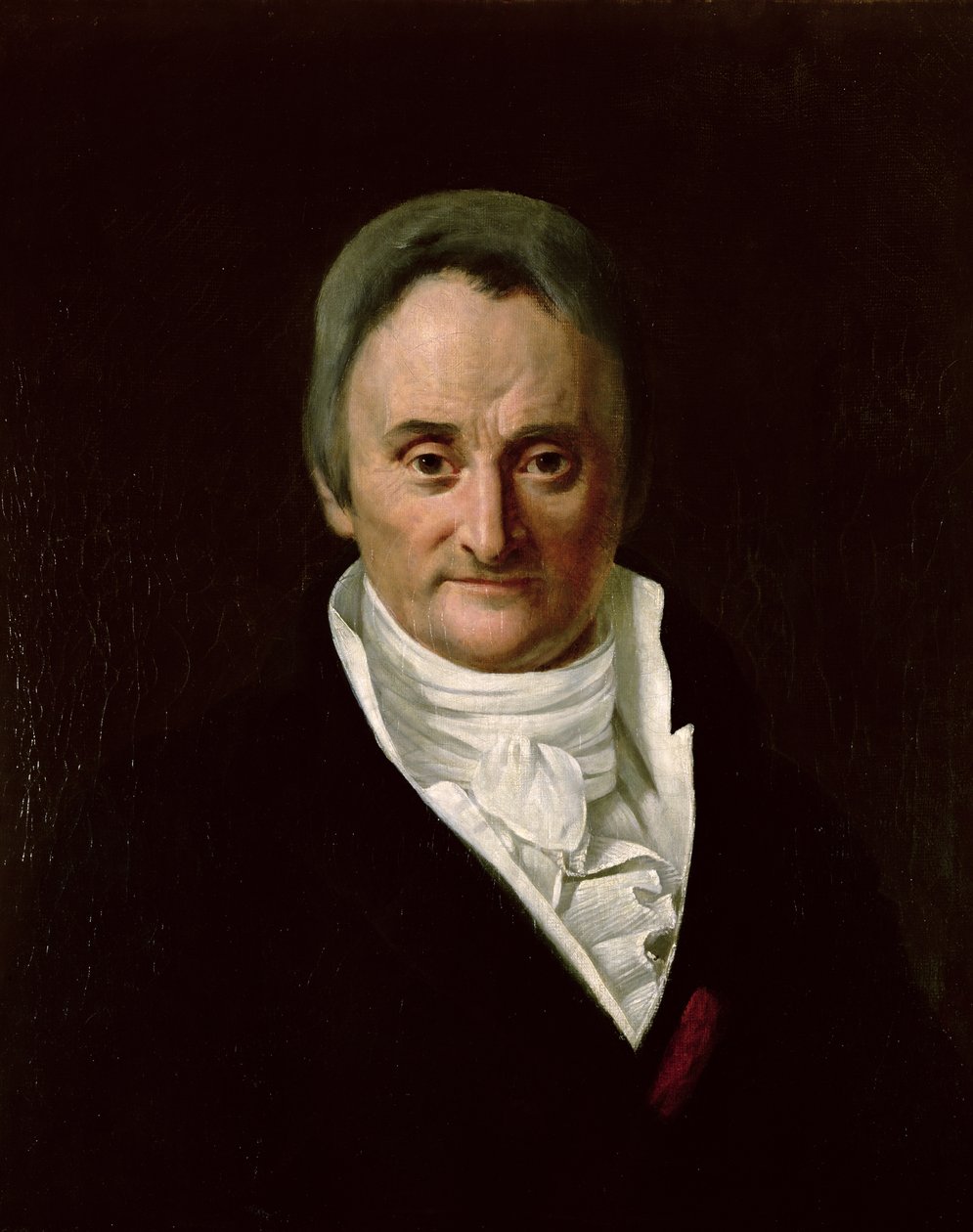 Philippe Pinel (1745-1826) - Anna M. Merimee