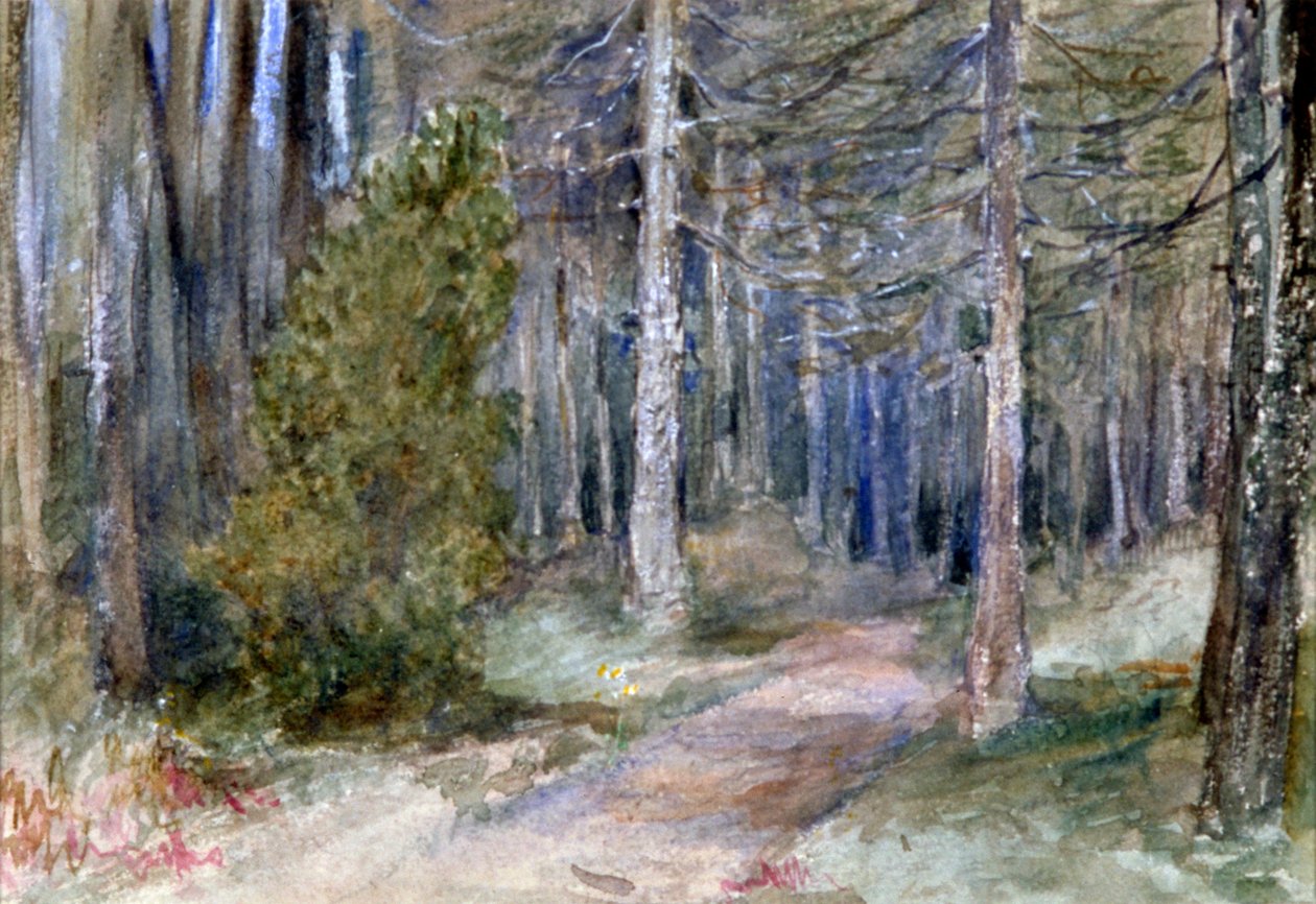 Dans un bois, c1864-1930 - Anna Lea Merritt