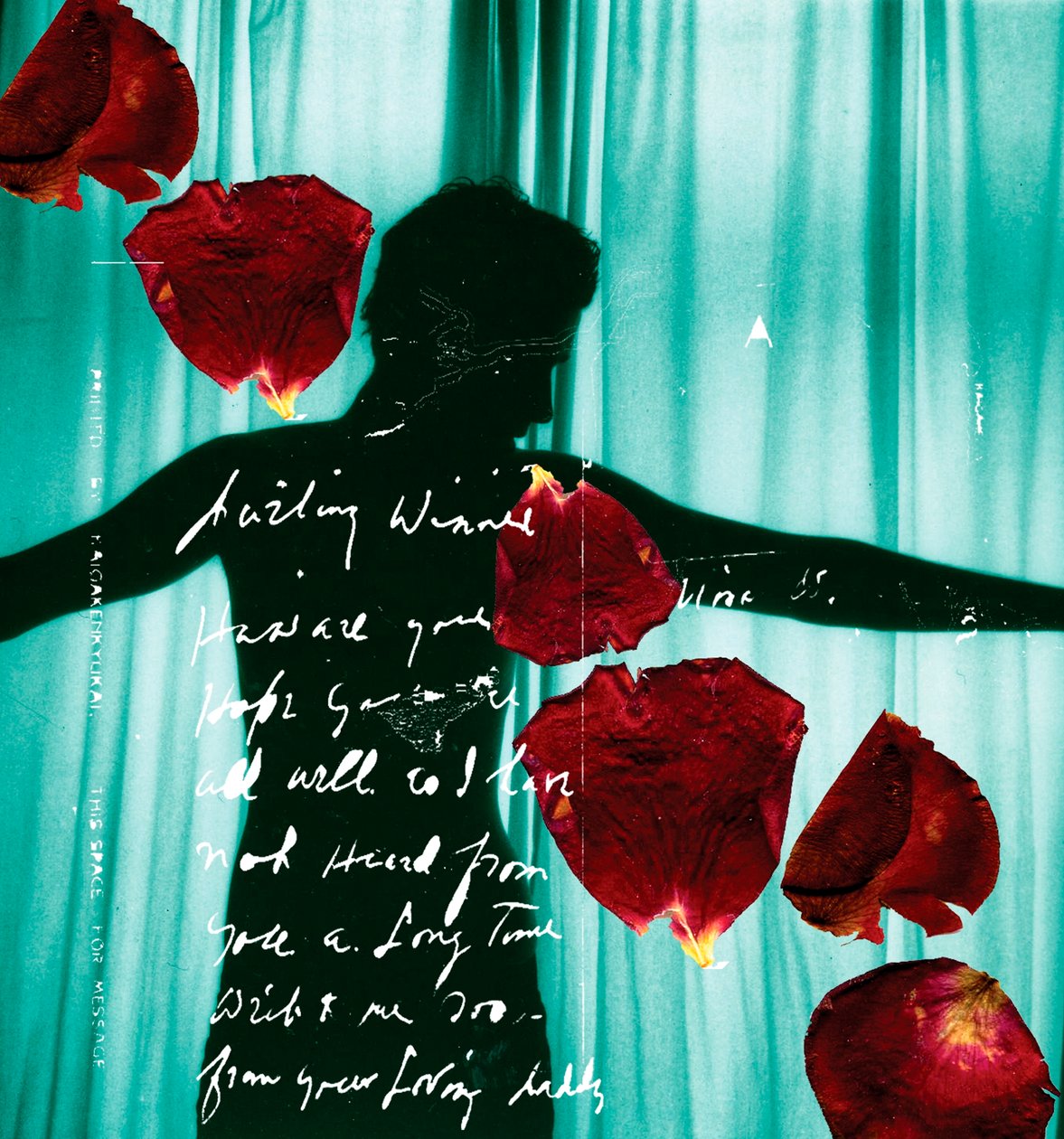 Chère Winnie - Anna Platts