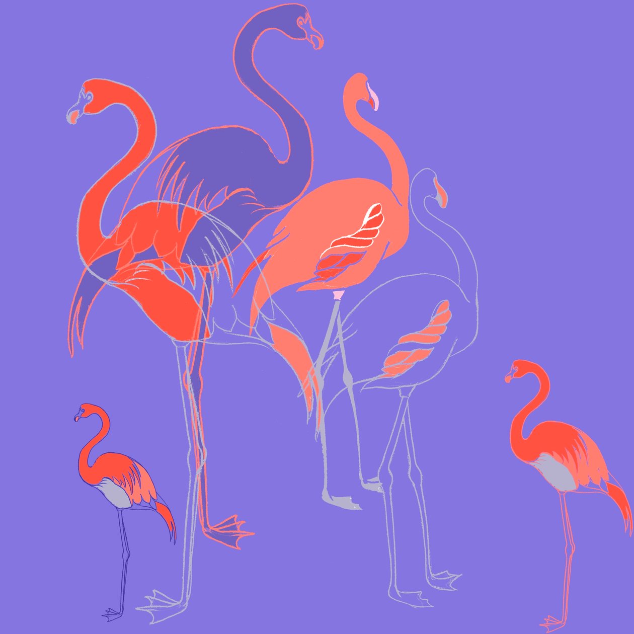 Flamants roses - Anna Platts