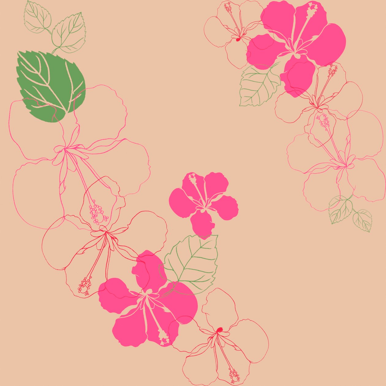 Hibiscus - Anna Platts