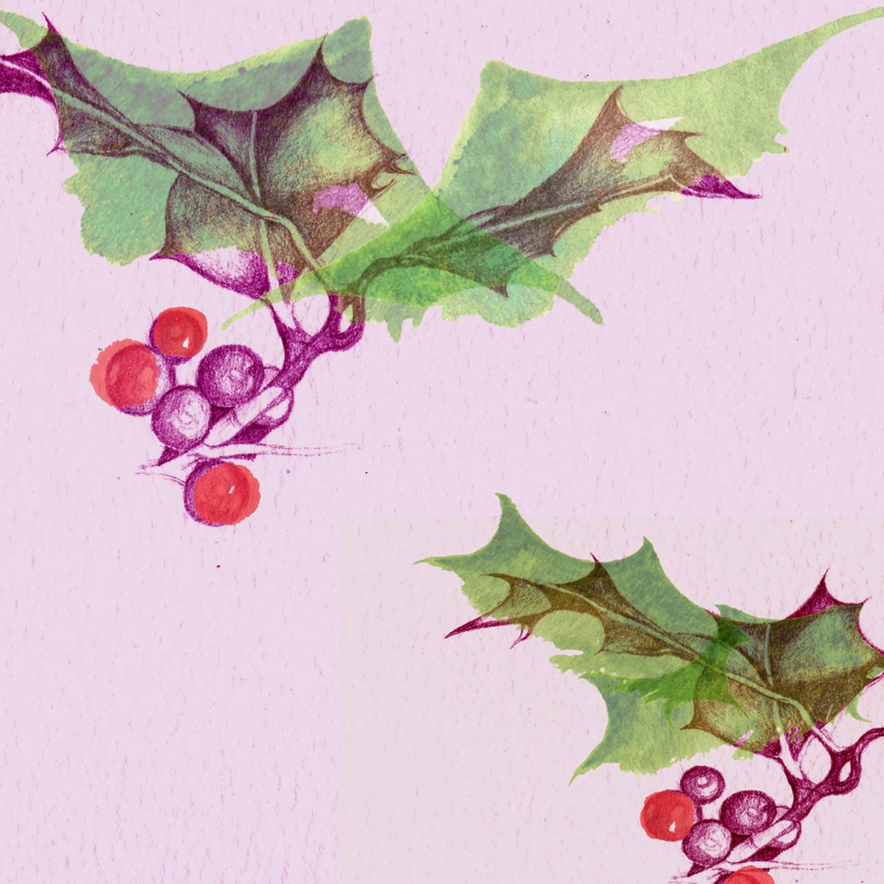 Houx - Anna Platts