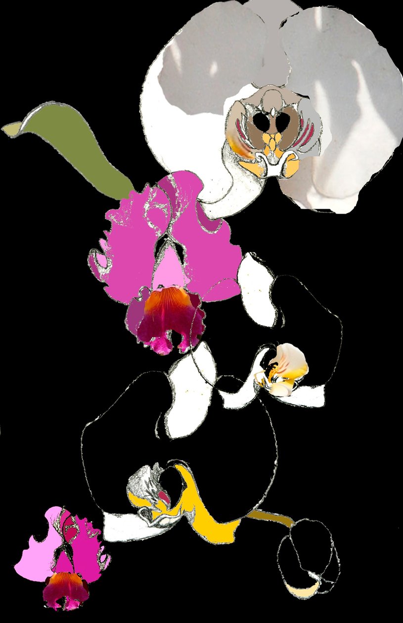 Orchidée - Anna Platts