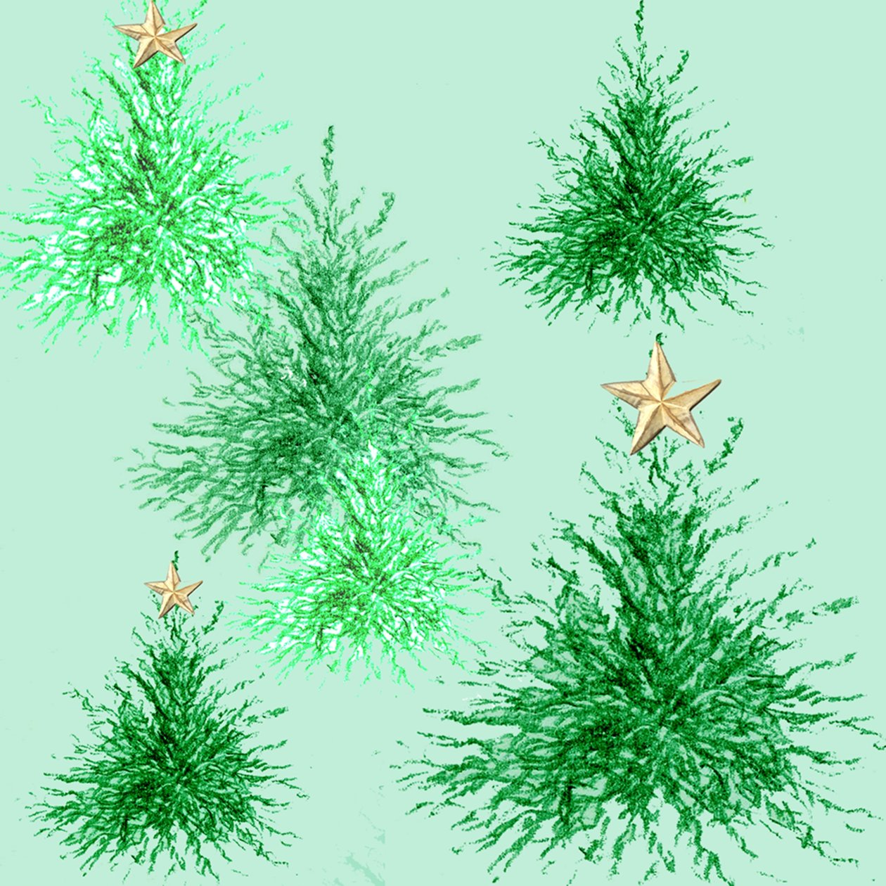 Arbres étoilés - Anna Platts