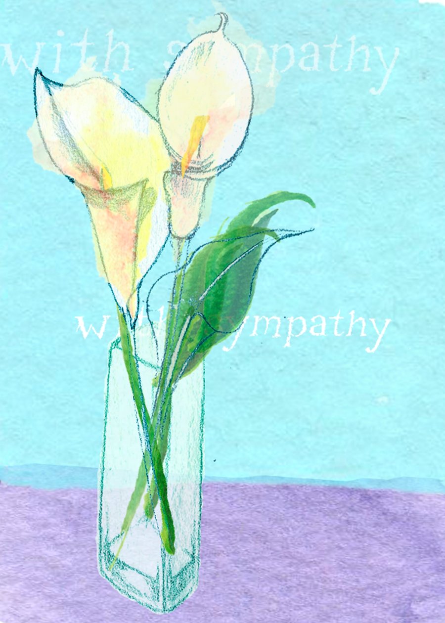 Sympathie - Anna Platts