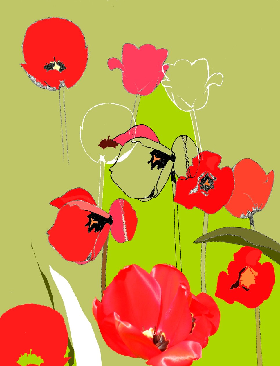 Tulipe - Anna Platts