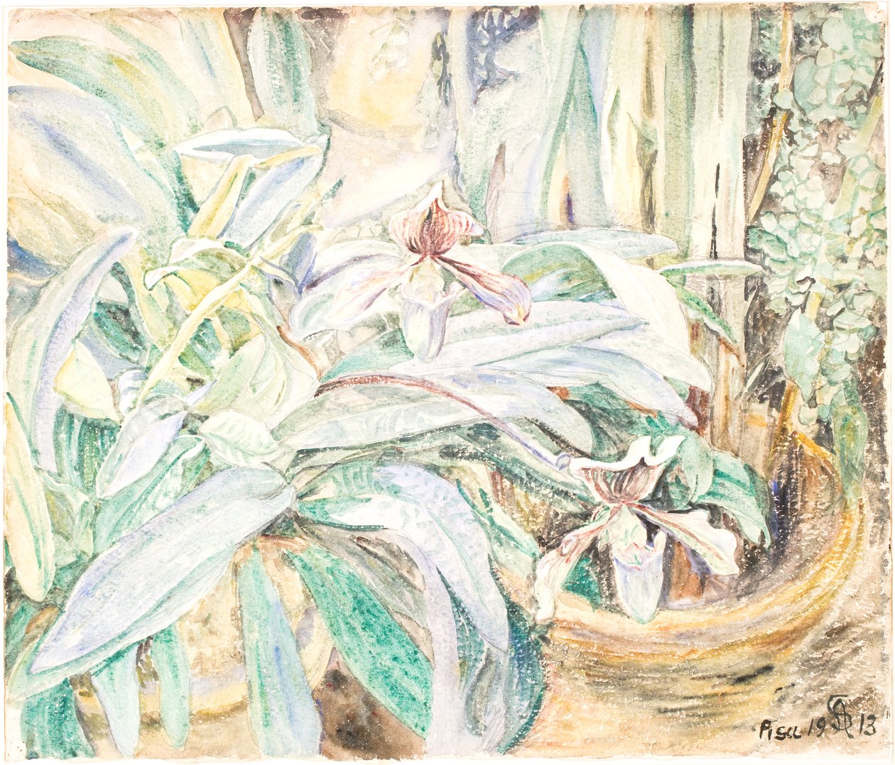 Orchidées, Jardin Botanique, Pise - Anna Syberg