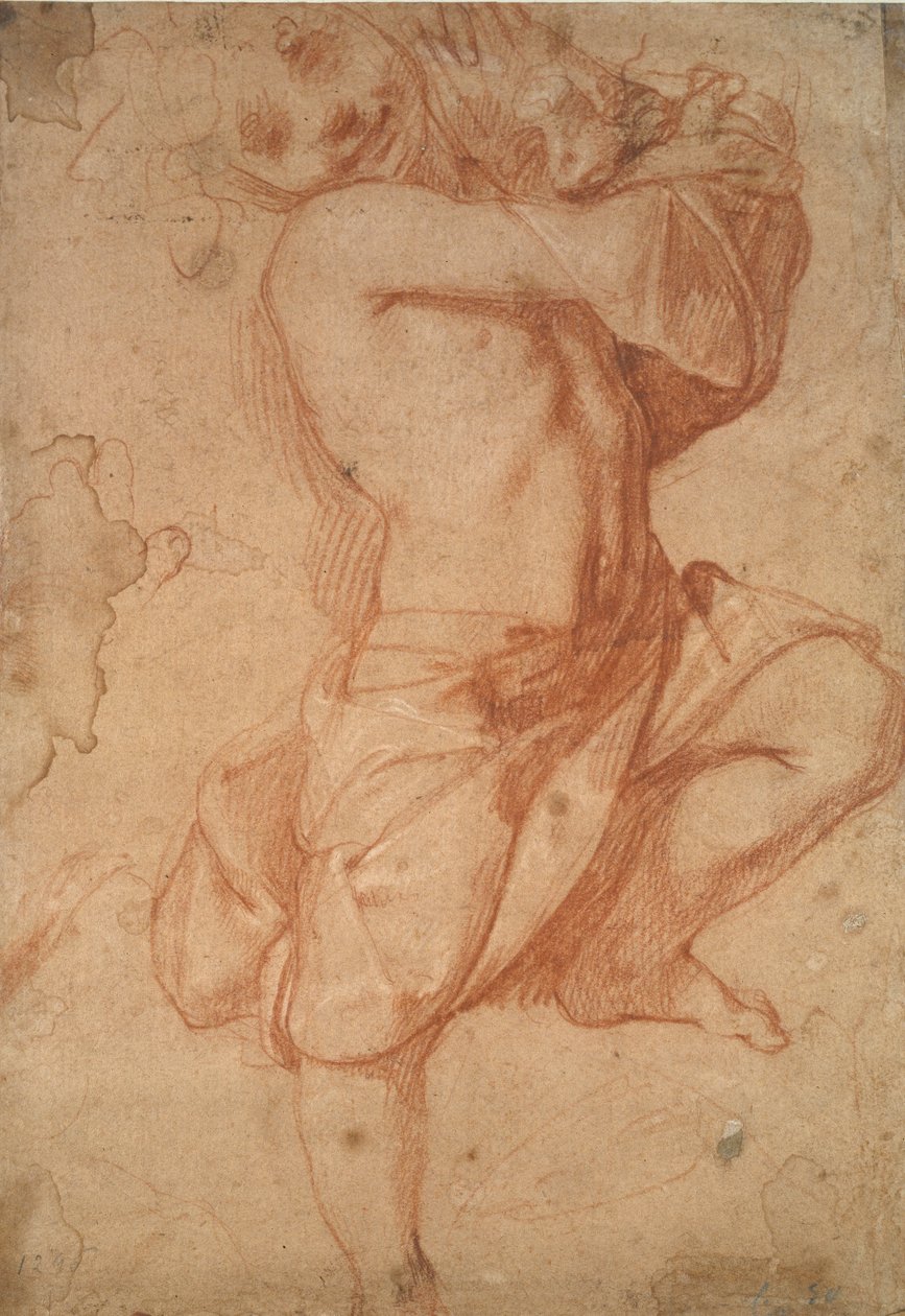 Garçon Semi-nu - Annibale Carracci