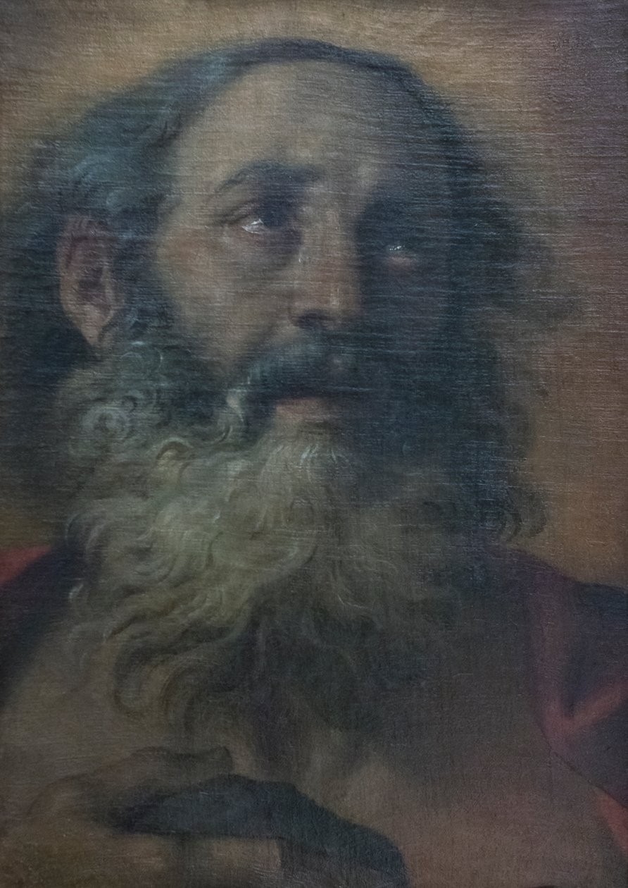 Saint Jérôme - Annibale Carracci