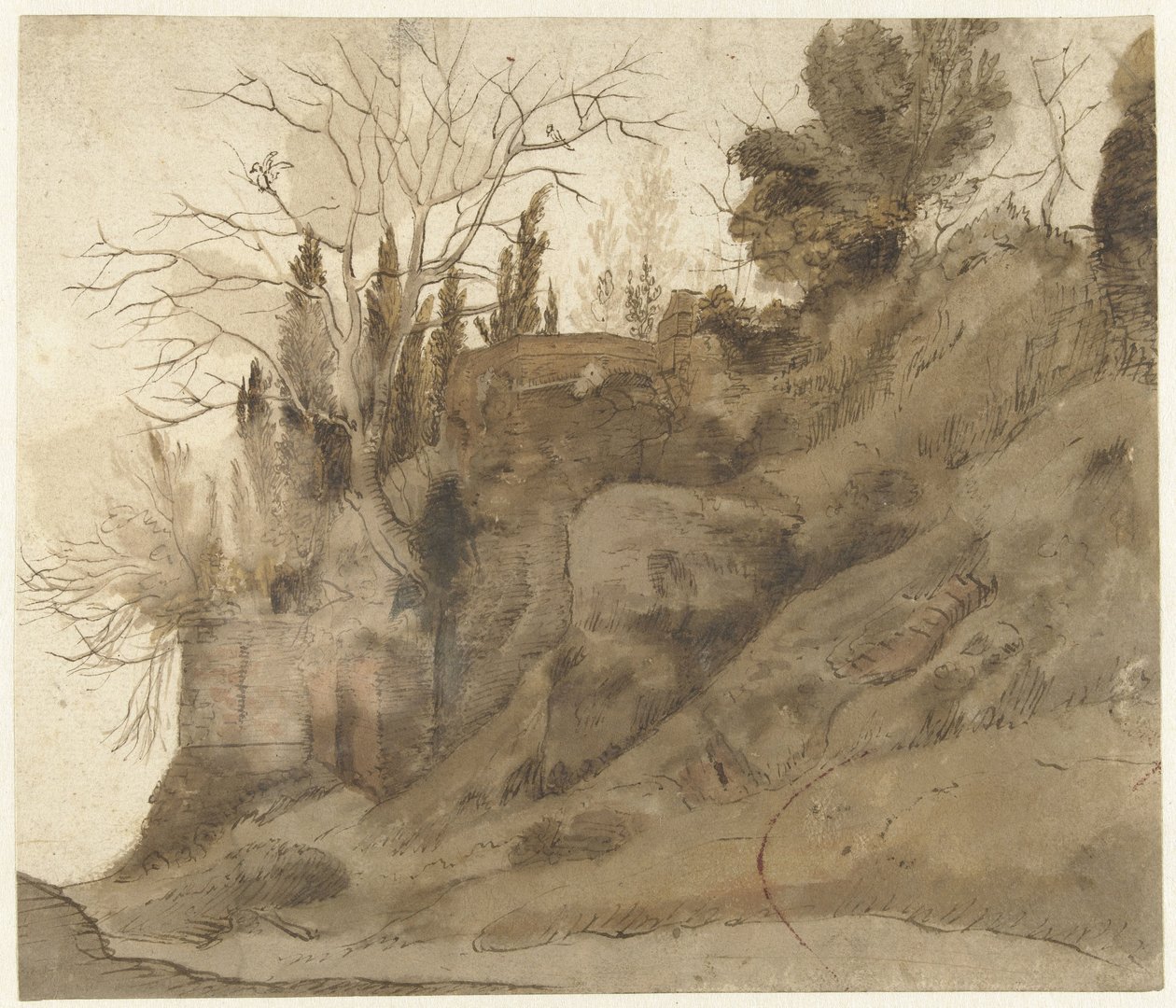 Ruine envahie par la végétation - Anonymous