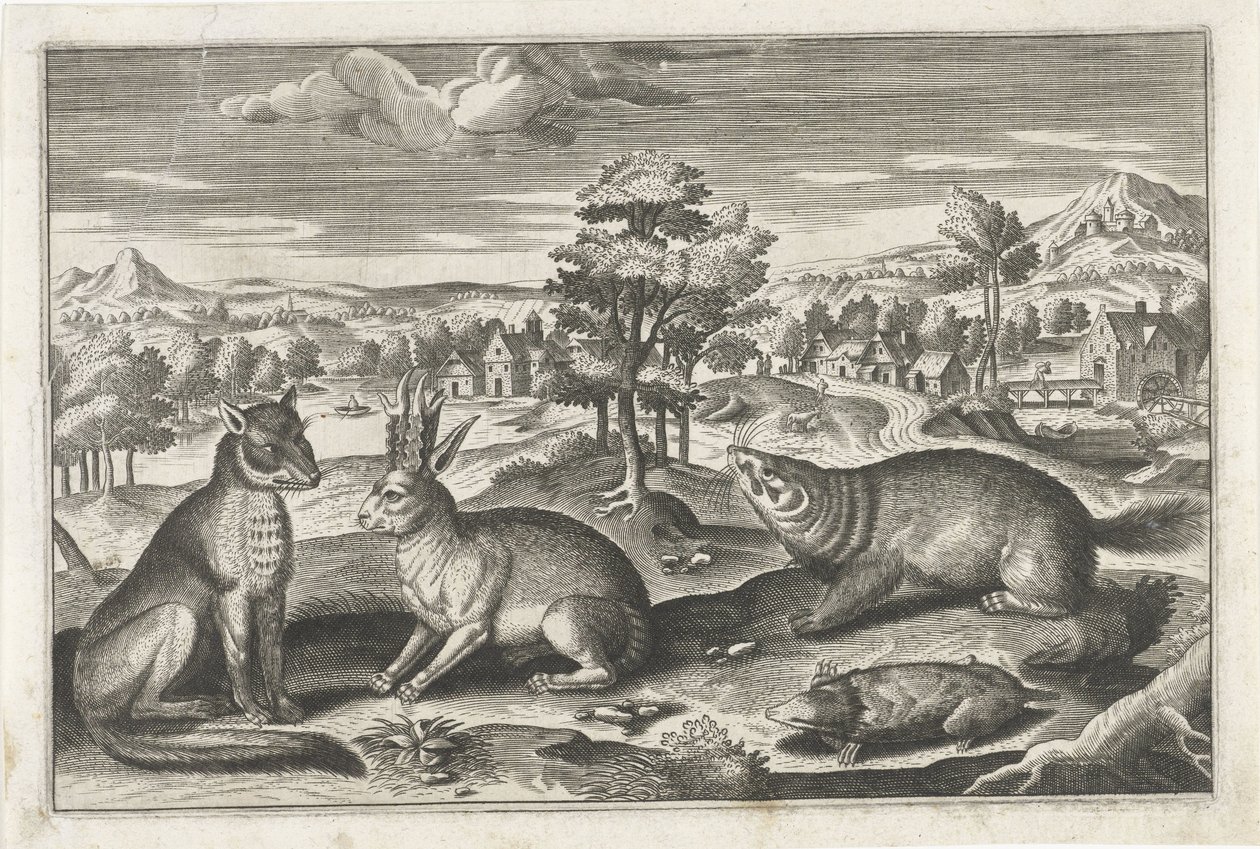 Animaux de la forêt - Anonymous