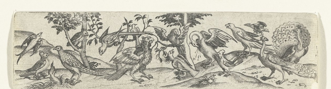 Frise avec des oiseaux, y compris un paon et un pélican - Anonymous