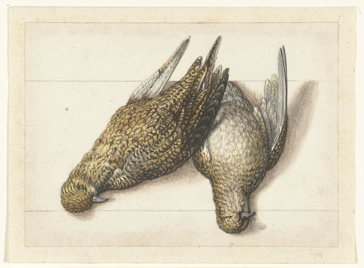 Goudplevier Lombard album (titre de la série) - Anonymous