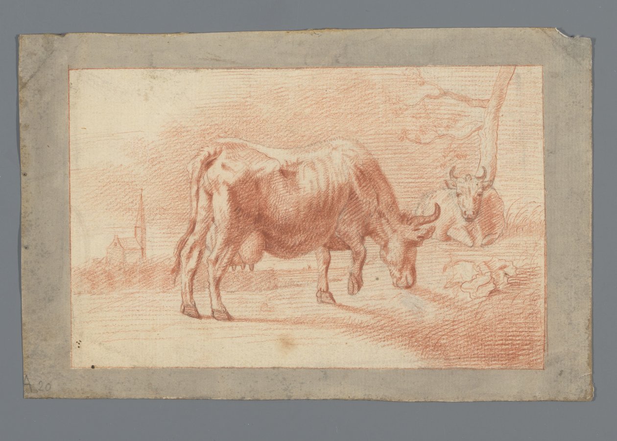 Vache broutant et couchée - Anonymous
