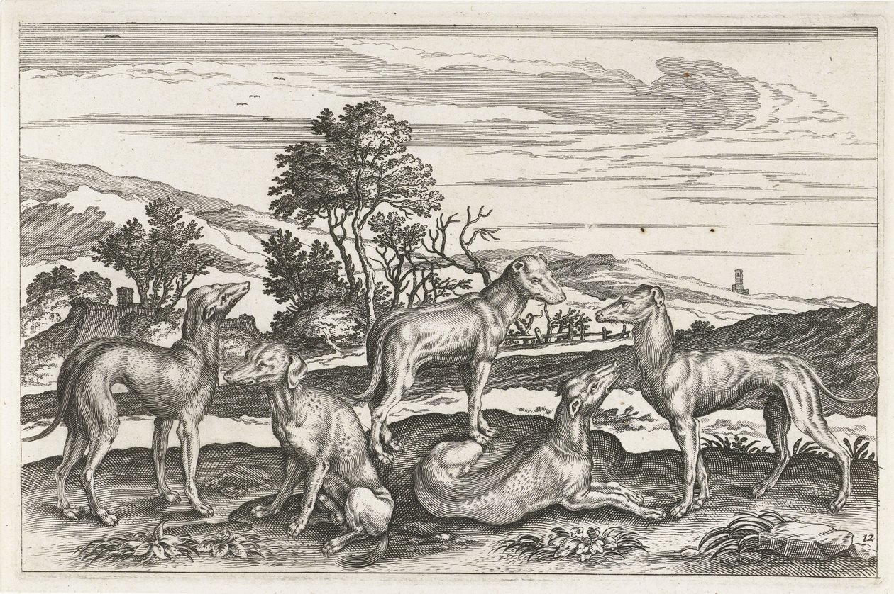 Chiens de chasse - Anonymous
